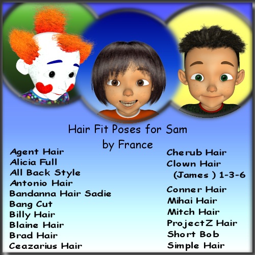 Hair FITs for Sam
